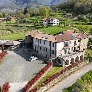 Fermento Mochignano